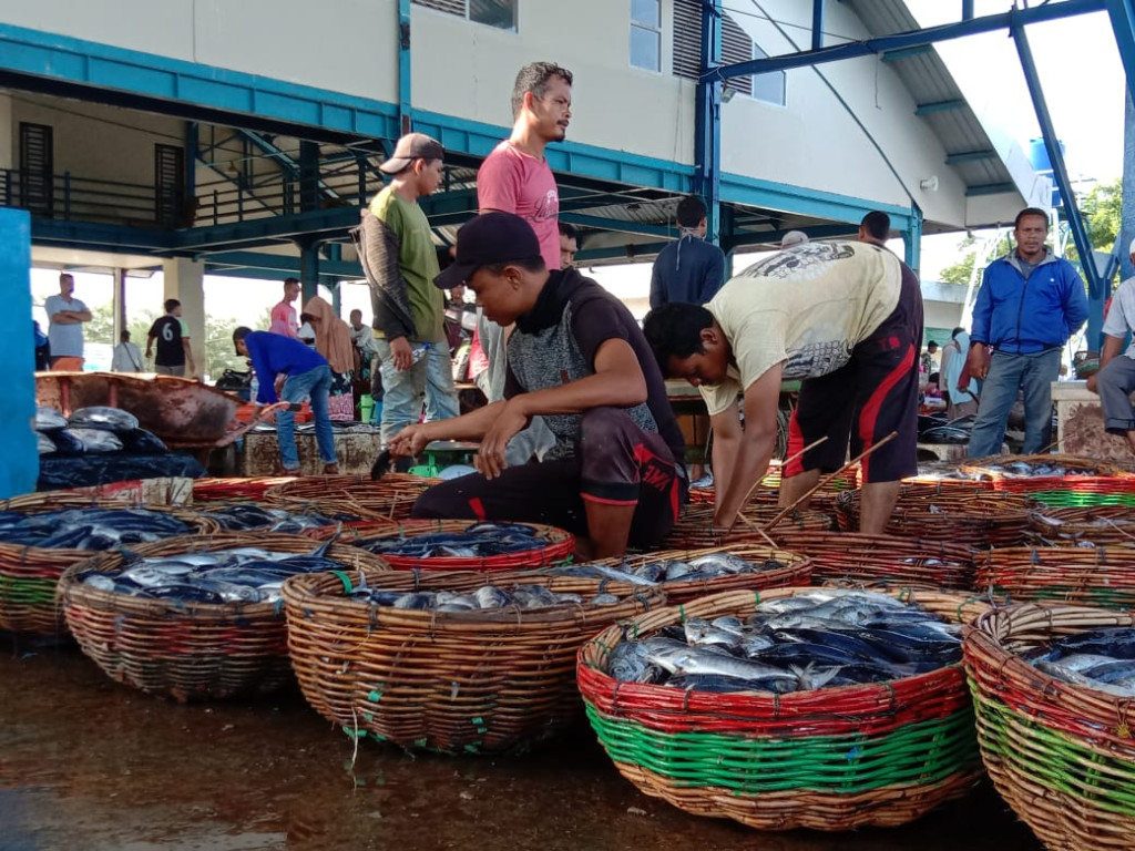 tempat penampungan ikan dipesisir pantai gampong cot